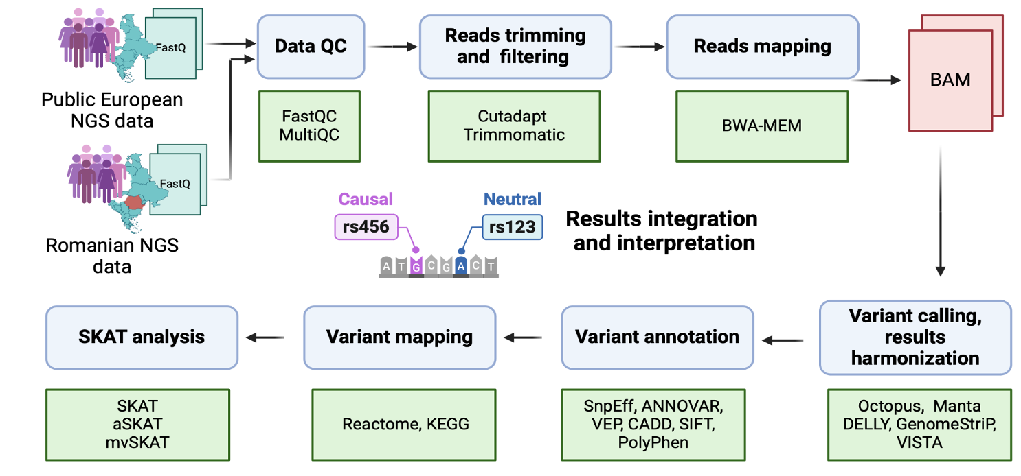 CardioGen workflow